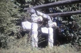House posts at Totem Park