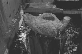 [Carving on top of tree stump]