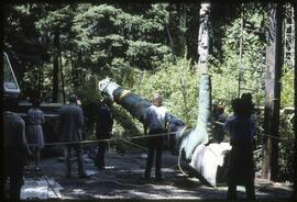 A totem pole hangs from a crane