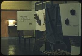 Display of contemporary Northwest Coast art