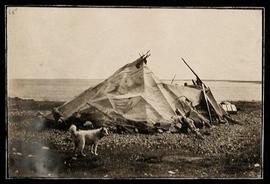 Camp in Kuugjuaq