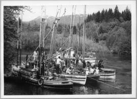 Fleet of boats