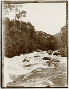 Congo River rapids