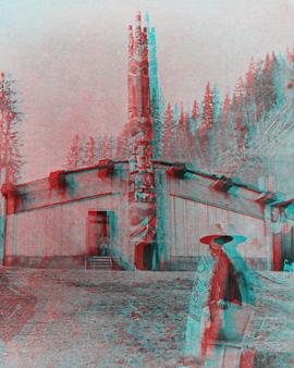 3D stereographic view
