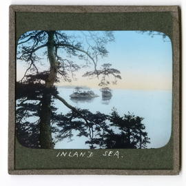 Tree, sea and islands