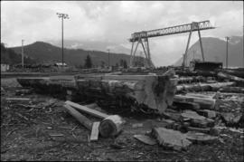 Norman Tait's first view of log at the L&K Log-sorting yard in Gibson’s Landing, B.C.