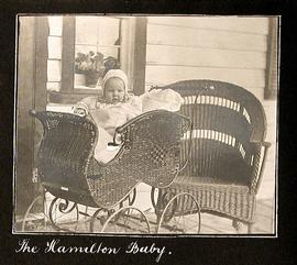 The Hamilton Baby