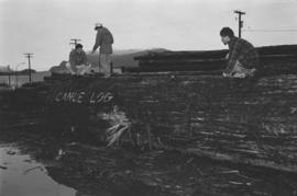 Measuring length [of log]