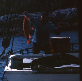 North Coast: [scenery], Tom Brown's cannon, Nowish Cove, Finlayson Channel, Klemtu, Myers Pass ro...