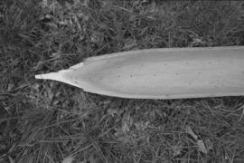 [Close-up of one end of model canoe]
