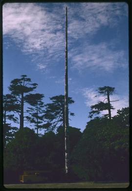 World's tallest totem pole, carved by Mungo Martin, Beacon Hill Park, Victoria, B.C.