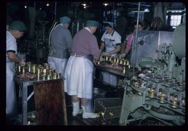 Women working in cannery