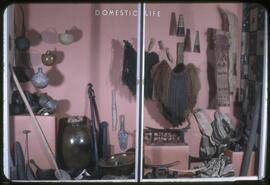 Domestic Life