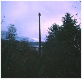Unidentified totem pole, Hazelton area