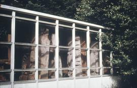 Shed, Totem park, AH