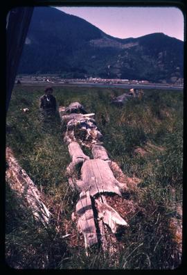 Old totem poles in grass [Haida Gwaii?]