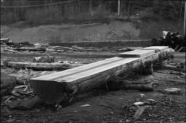 Norman Tait's first view of log at the L&K Log-sorting yard in Gibson’s Landing, B.C.