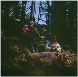 Spruce roots, Slate Chuck Camp, Q.C.I.