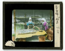 Two women working on silk worms
