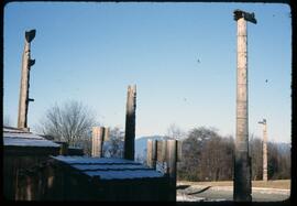 Totem poles at UBC MOA